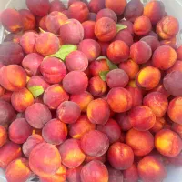 میوه های باغی. شلیل. آلو. سیب.