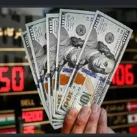 گم کردن دلار