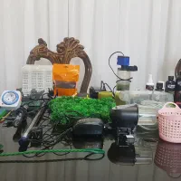 آکواریوم|ماهی|پرند, فاز ۶|دیوار