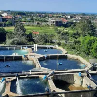 استخدام نیروی کار در یک رستوران واقع در چابکسر|استخدام خدمات فروشگاه و رستوران|رحیمآباد, |دیوار