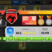 اکانت عالیه DLS