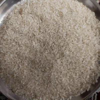 فروش برنج کامفیروزی (بکیان،خانیمن)|خوردنی و آشامیدنی|کر, |دیوار