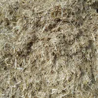 کمباین جهت کوبیدن کلش|خودرو سنگین|کبودرآهنگ, |دیوار