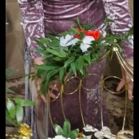 لباس مجلسی