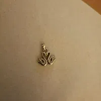 پلاک نقره