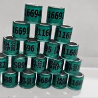 ۱۱پلاک کبوتر برای انواع کبوتر یازدهم...|لوازم جانبی حیوانات|رشت, سعدی (تختی)|دیوار