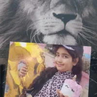 چاپ عکس برگه گلاسه و شاسی همه سایز