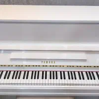 پیانو پرتابل p225 white