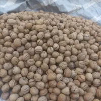 گردو و بادام درجه 1تازه امسال پرچرپ