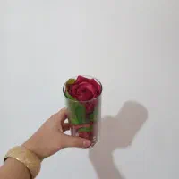 گل های ربانی بهترین هدیه روز مادر|گل مصنوعی|شاهرود, |دیوار