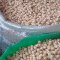 نخود اعلای فلافلی