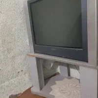 تلوزیون