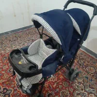 کالسکه  دوقلو دلیجان