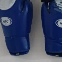 دستکش کیک بوکسینگ