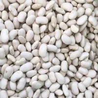 لوبیا سفید درجه یک برای خوراک