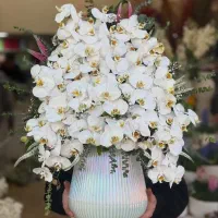 گل های تبریک برای مدیران ، سلبریتی ها و شرکت ها|گل و گیاه طبیعی|تهران, ونک|دیوار