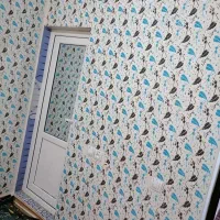 نقاشی ساختمان وطرح کاغذی منزل|خدمات پیشه و مهارت|سنقر, |دیوار