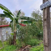 سوئیت باغ بر خیابان مکانی عالی|فروش خانه و ویلا|رشت, کوی فرهنگیان|دیوار