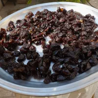 خرما خنیزی و گواردیال و بی هسته