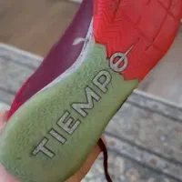 کتانی سالنی|کیف، کفش، کمربند|رشت, بلوار گیلان|دیوار