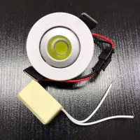 چشمی پارکتی