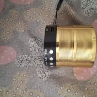 اسپیکر طلایی رنگ با طول باطری ۶ ساعته