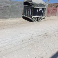 اسبکش دو اسب آماده به کار|اسب و تجهیزات اسبسواری|برخوار, |دیوار