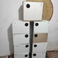 لانه گرینچیک و عروس هلندی