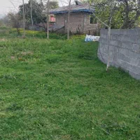 فروش زمین ۵۰۰ متری کاملن مسکونی|فروش زمین و ملک کلنگی|شاندرمن, |دیوار