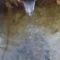 فروش زمین ۱۷۰۰ متری باغ ویلایی