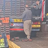 بادسان 8تن|خودرو سنگین|حویق, |دیوار