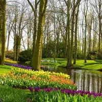 زمین باغ شهری/ زمین باغشهری خالدآباد