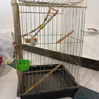 قفس پرنده