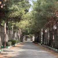 طرقبه / اجاره مغازه تجاری 440 متری 70 متر حاشیه