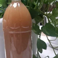 آبغوره انگور عسگری خانگی