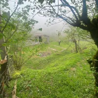 زمین|فروش زمین و ملک کلنگی|لیسار, |دیوار