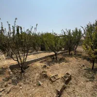 ۶۳۰ متر باغچه با سه میلیارد نقد تهاتر با آپارتمان|فروش آپارتمان|کرج, کوی مهر|دیوار