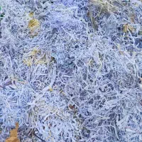 خرید فروش کتاب کاغذ کتابخانه کارتن