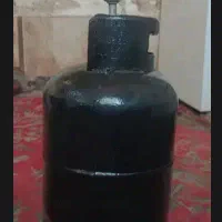 پیک نیک ۵ کیلویی استاندارد کاملا سالم