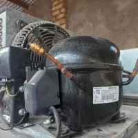 یخچال ویترینی|فروشگاه و مغازه|نیشابور, دانشگاه نیشابور|دیوار