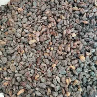 کشمش آفتابی