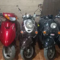 وینو اسکوپی جوک پاکشتی