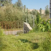 تنگه-واشی-باغ-بر-آسفالت