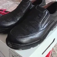 کفش مردانه|کیف، کفش، کمربند|شاهین‌شهر, خبرنگار|دیوار