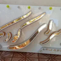 تابلوچلنیوم|فروشگاه و مغازه|زنجان, |دیوار