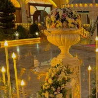 استخدام نیرو در تالار