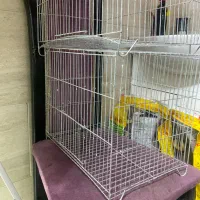 ۳عدد قفس کوچک