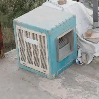 کولرابی