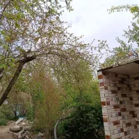 اجاره خونه باغ روزانه وسالیانه