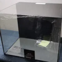 جشنواره فروش آکواریوم ریملس با پایه|ماهی|تهران, ایرانشهر|دیوار